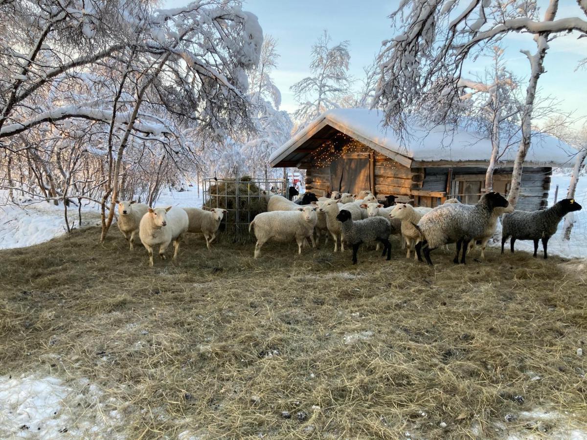 Kuttainen Lodge Karesuando Exteriör bild